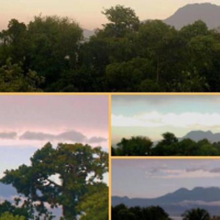 Jolie Studette Dans Un Environnement Arbore Les Abymes Extérieur photo